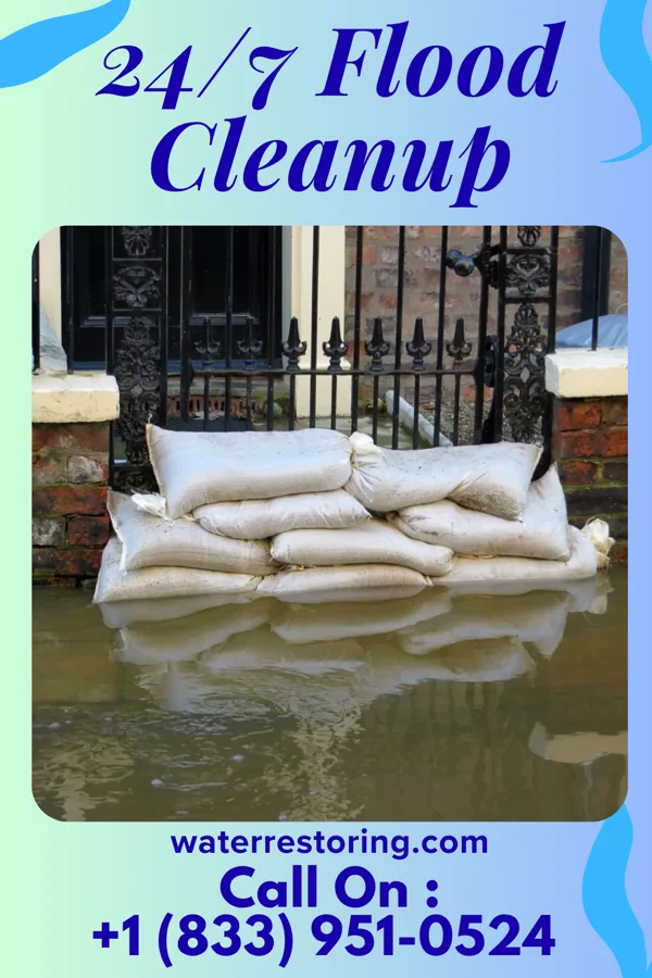 24/7 Flood Cleanup in Denton, MD