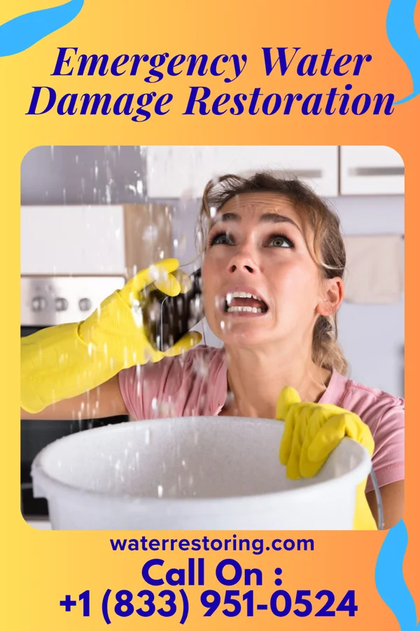 Emergency Water Damage Restoration in Denton, MD