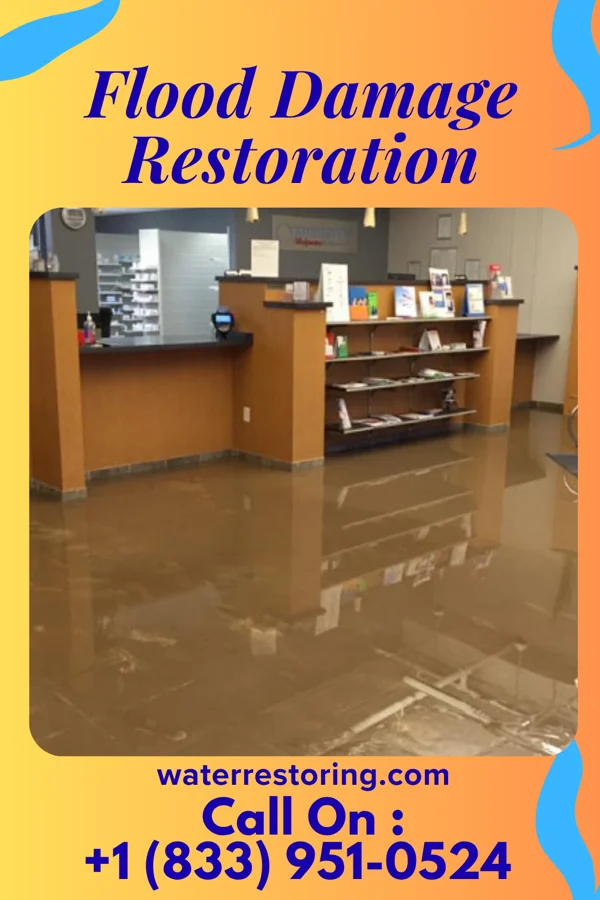 Flood Damage Restoration in Denton, MD