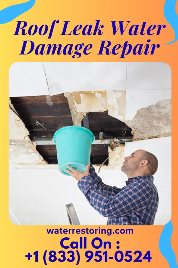 Roof Leak Water Damage Repair in Denton, MD