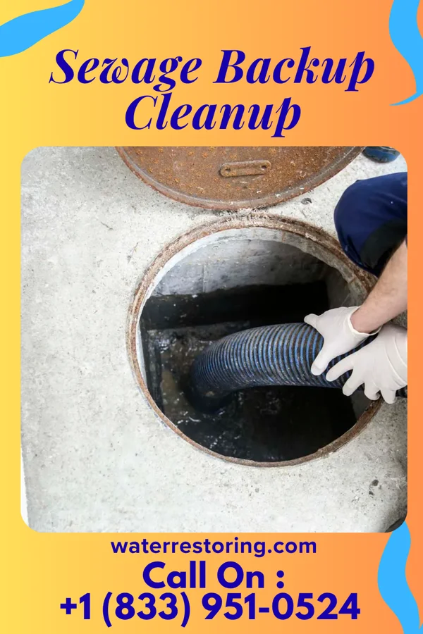 Sewage Backup Cleanup in Denton, MD